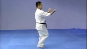 Каратэ Киокушинкай  Ката   Санчин
