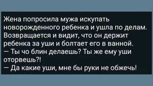 Жена Дальнобойщика Проснулась Без Трусов! Сборник Свежих Анекдотов! Юмор!