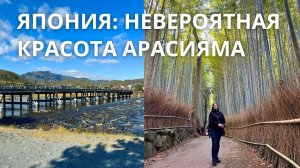 Япония: Невероятная красота Арасиямы.