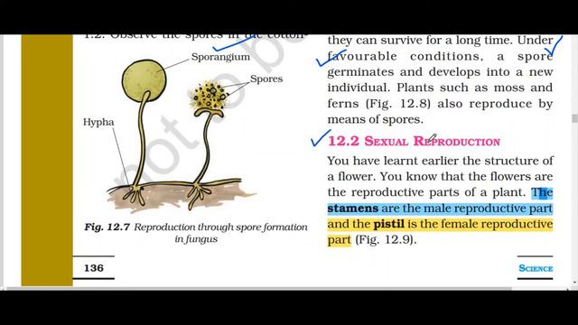 Class 7 chapter 12 Science Reproduction In Plant Notes And Explanation смотреть онлайн