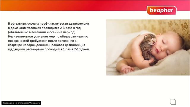 Дезинфекция помещений смотреть онлайн