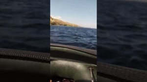 Дистанционное управление лодки ПВХ