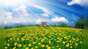 Что такое ЛЕТО?