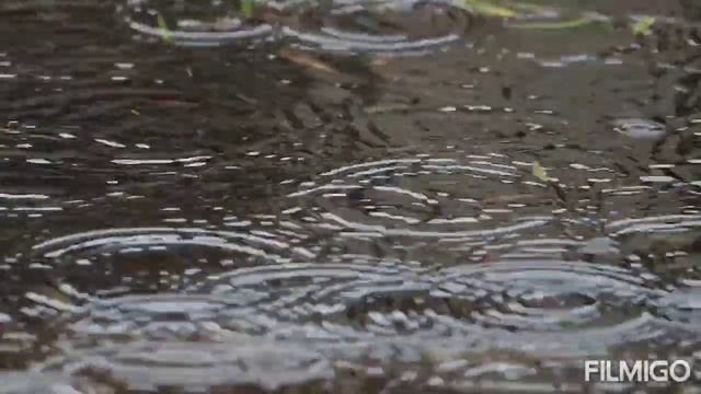 Статус Почему? смотреть онлайн