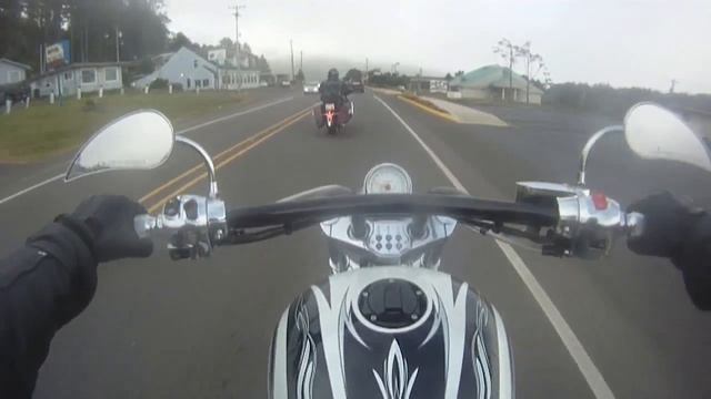 Darlingtonia Vlog смотреть онлайн