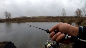 Рыбалка на воблер PONTOON21 CHEERFUL!!! Уловистый воблер на окуня и щуку!