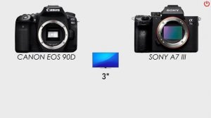 Canon EOS 90D vs Sony A7 III | Full Comparison