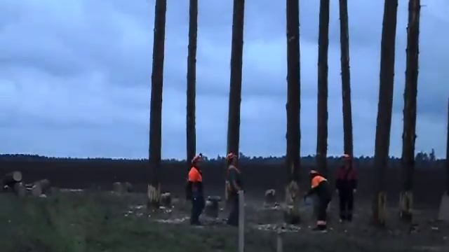 Лесорубы - по колу смотреть онлайн