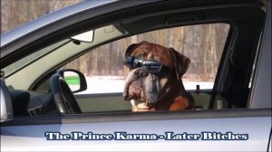 The Prince Karma - Later Bitches (432Hz)