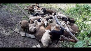 Шурагат Кайтагский район Дагестан Туризм #Маджалис #Кубачи