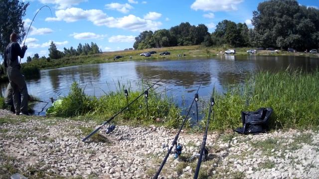 Удачная рыбалка на платнике.Поклевки карпа,осетра и сома смотреть онлайн