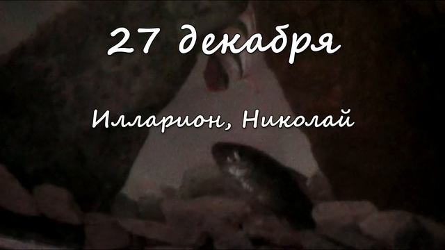 27 декабря – именины сегодня отмечают смотреть онлайн