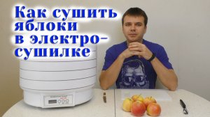 Как сушить яблоки в электросушилке