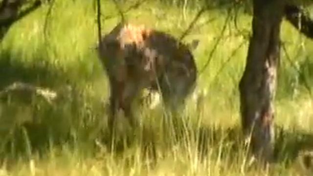 Я тебя никогда не забуду" смотреть онлайн