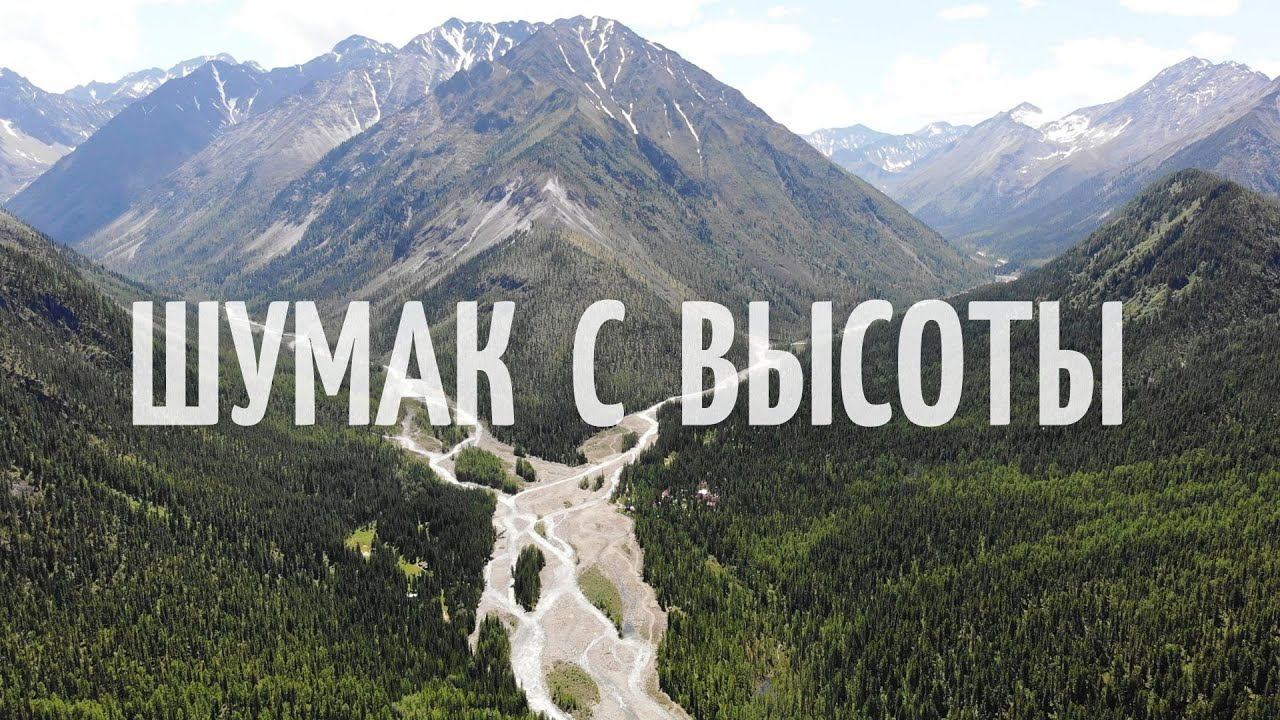 ШУМАК С ВЫСОТЫ ПТИЧЬЕГО ПОЛЕТА смотреть онлайн