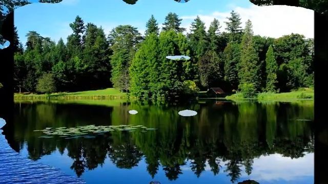 АВГУСТ смотреть онлайн