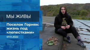 Мы живы! Фрагмент информационного канала от 07.11.2022