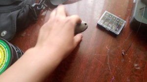 сбор на речку)