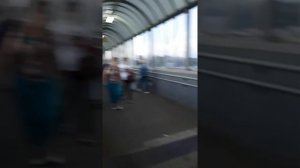 Баян Огонёк-2. Кавер на песню "Она была актрисою". Исполняет бродяга Мастер Ярослав