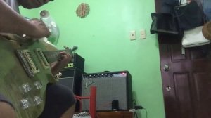 PRS Zach Myers Fender Princeton Reverb 65