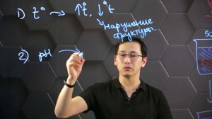 Влияние различных факторов на мембрану клеток. 10 класс.