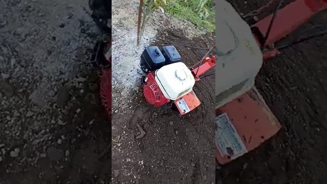 Fort minitigre Honda gx 160 смотреть онлайн