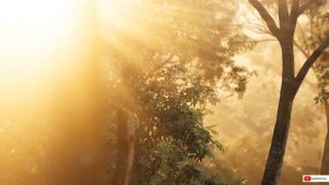 Утренняя Медитация- Аффирмации на здоровье и исцеление