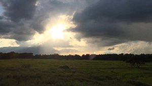 Дарина Кочанжи - Плачет ангел