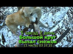 5 заезд 2 день Большой круг Выпал снежок (1 часть) 03 11 21