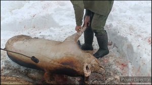 31 января 2024 г.