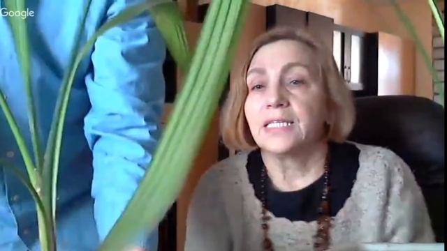 Пальма вашингтония.  Как остановить рост пальмы?!