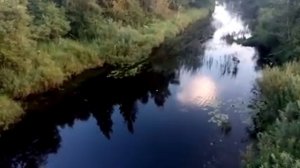 Натрий с водой