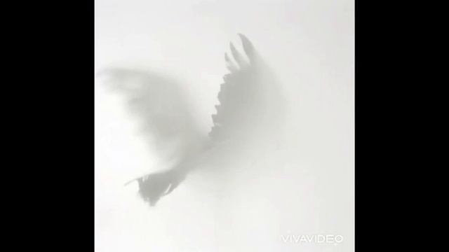 Мощный денежный ритуал _ притча #6 смотреть онлайн