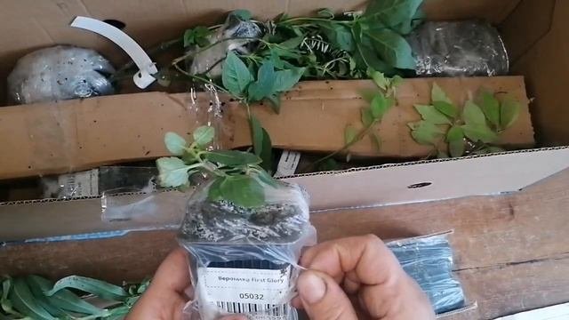 Обзор посылки  из интернет-магазина 