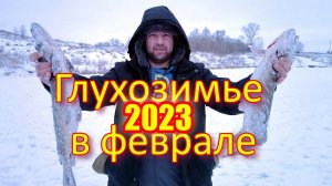 Рыбалка в глухозимье феврале рыбалка 2023г. Щука на жерлицы. Fish video