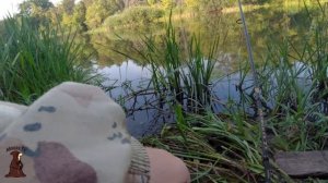 Рыбалка на реке Сок Щука на спиннинг и Судак на донку