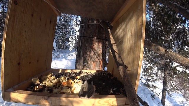 весна на носу! смотреть онлайн