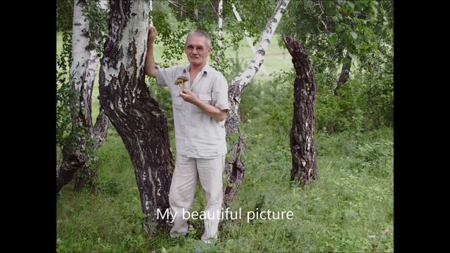 Отчего так в России берёзы шумят