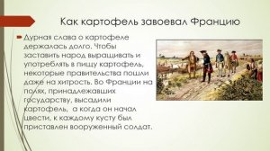 История об обыкновенной картошке история 6 кл.mp4