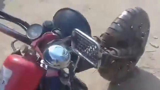 VLOG:По городу Красноярску 2 день "Зоопарк" смотреть онлайн