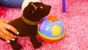 Игрушка собака Шоколадка играет в школу! Игры в дочки матери в видео для девочек