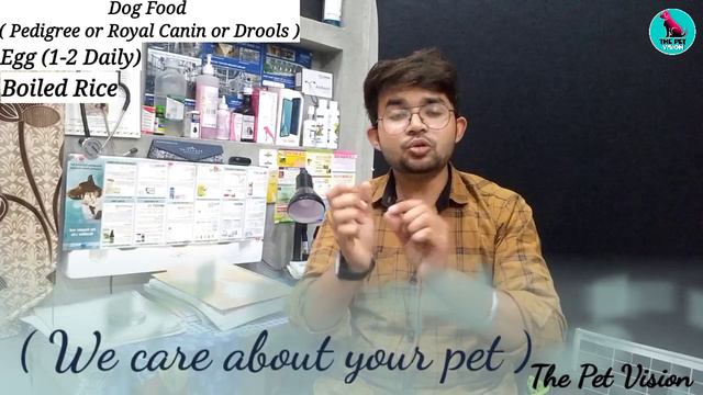 winter dog food || winter dog diet plan || dog diet in winter || सर्दियों में जरूर ये दे || winters смотреть онлайн