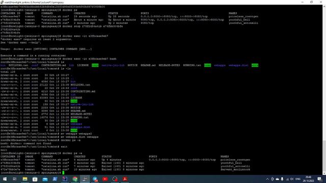 Docker на примерах из java (основы)
