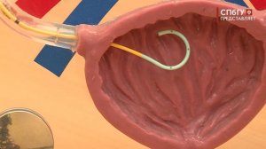 Новости СПбГУ: КВМТ им. Н.И. Пирогова СПбГУ. Народный рейтинг и последние достижения