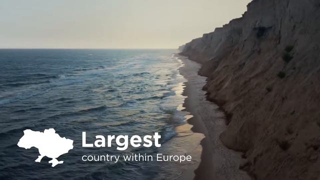 Анонс Евро Дог Шоу - 2017 смотреть онлайн