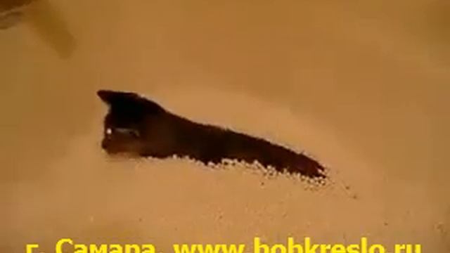 Пенополистирол, наполнитель в кресла мешки груши,  Самара, Bobkreslo,8 927 90 44 888