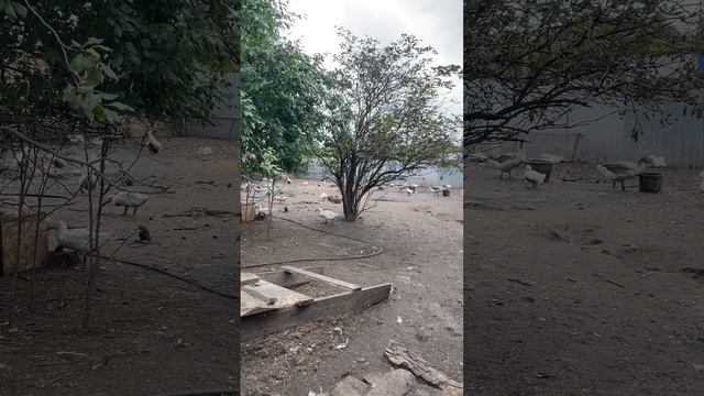 06-09-2023 смотреть онлайн