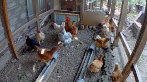 Осенние работы в Домашнем Хозяйстве