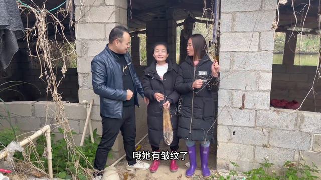 小梅惹祸了，在小凤和姐姐面前挑拨离间，两姐妹差点打起来 смотреть онлайн