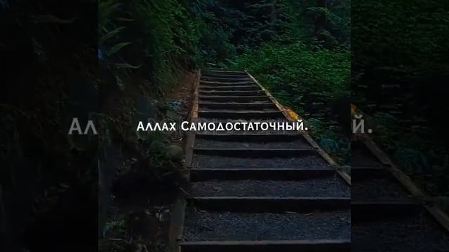самый красивый сура